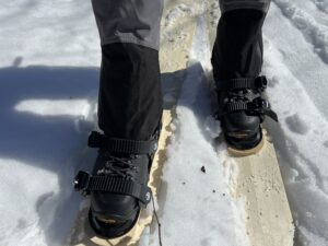 Pair of boots inside three strap bindings mounted on a skis placed on snow.