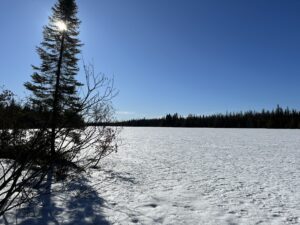 Lake covered with snow and pine tree.